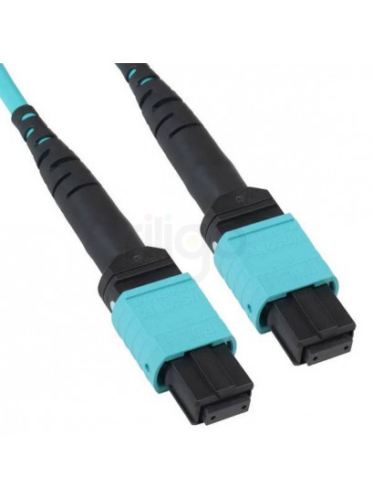 מגשר אופטי MPO/MTP F-F TYPE B 12*OM3-300 באורך 1 מטר