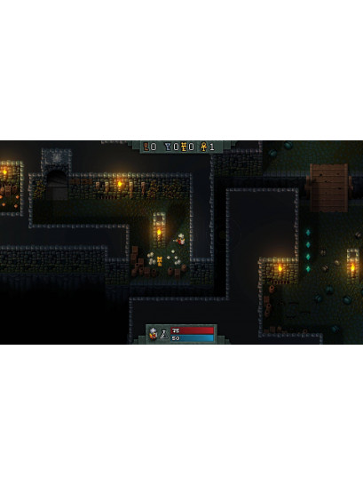 Hammerwatch - משחק מחשב - STEAM
