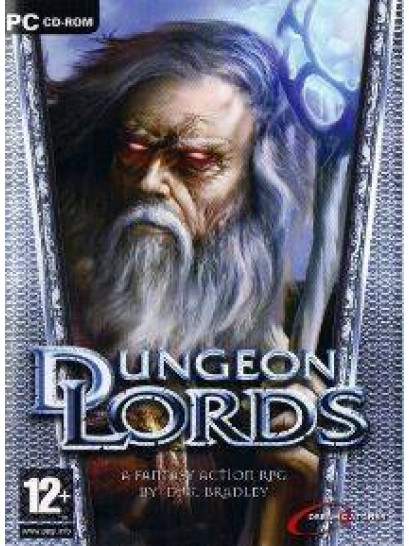 Dungeon Lords - משחק מחשב - STEAM