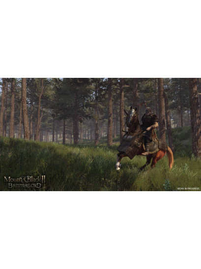 Mount & Blade II: Bannerlord - משחק מחשב - STEAM