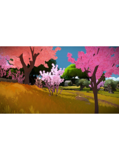 The Witness - משחק מחשב - STEAM