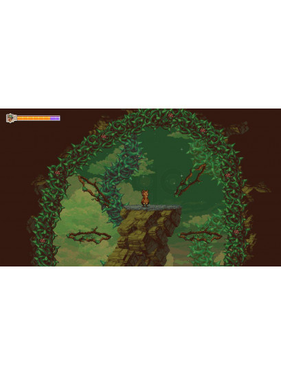 Owlboy - משחק מחשב - STEAM