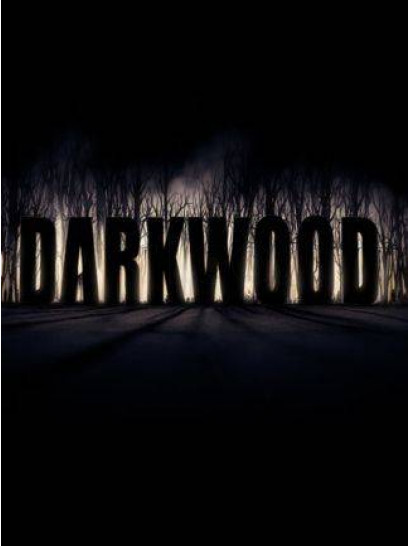 Darkwood - משחק מחשב - STEAM