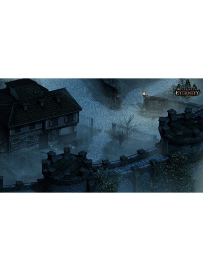 Pillars of Eternity - משחק מחשב - STEAM