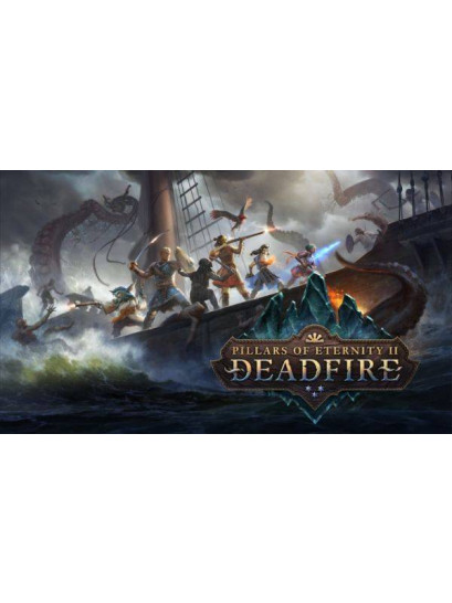 Pillars of Eternity II: Deadfire - משחק מחשב - STEAM