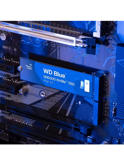WD Blue SN5000 NVMe SSD 1TB | מהירות עוצרת נשימה 5150MB/s | אחריות יצרן 5 שנים