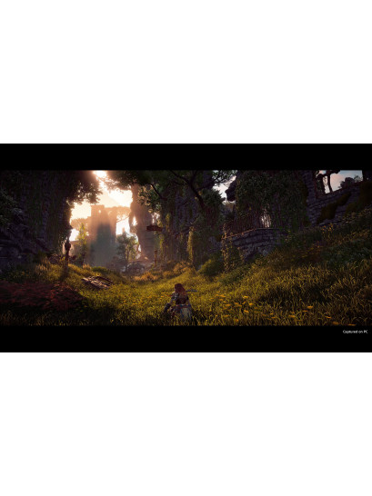 Horizon Zero Dawn Complete Edition - למחשב - Steam