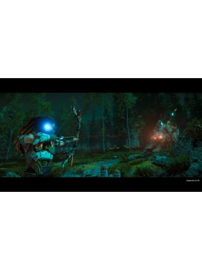 Horizon Zero Dawn Complete Edition - למחשב - Steam