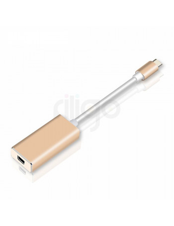 תחנת עגינה TYPE C to  MINI DISPLAY PORT 4K 60HZ
