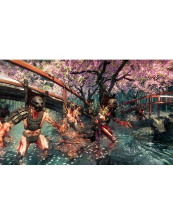 Shadow Warrior: Special Edition - משחק מחשב - STEAM