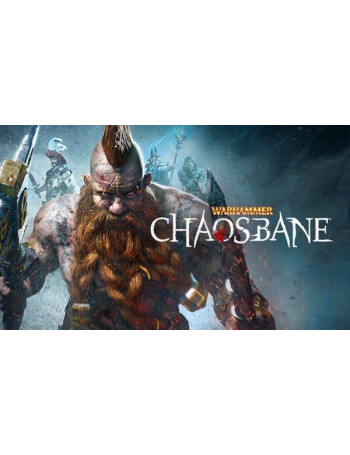 Warhammer: Chaosbane - משחק מחשב - STEAM