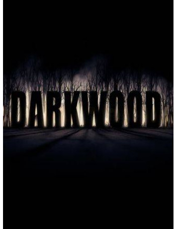 Darkwood - משחק מחשב - STEAM