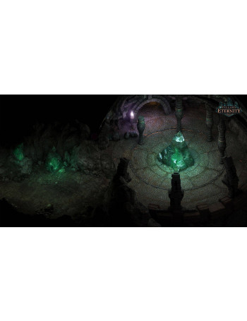Pillars of Eternity Hero Edition - משחק מחשב - STEAM