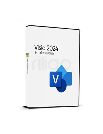 ויזיו פרופשיונל 2024 - Microsoft Visio Professional 2024