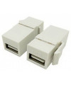 שני מתאמי USB 2.0 נקבה-נקבה לבנים לשקע קיסטון