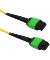 מגשר אופטי MPO/APC F-F TYPE B 12*SM באורך 2 מטר