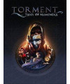 Torment: Tides of Numenera - משחק מחשב - STEAM