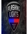 Flashing Lights - Police, Fire, EMS - משחק מחשב - STEAM
