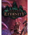 Pillars of Eternity Hero Edition - משחק מחשב - STEAM