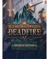 Pillars of Eternity II: Deadfire - Obsidian Edition - משחק מחשב - STEAM