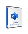 ויזיו פרופשיונל 2021 - Microsoft Visio Professional 2021 - רשמי